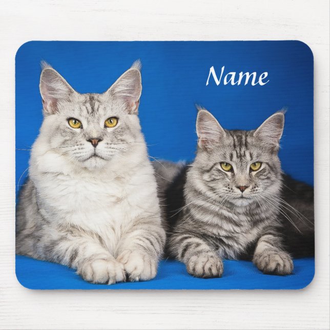Alfombrilla De Ratón Dos grandes gatos de café Blue Mousepad (Frente)