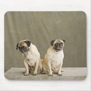 Alfombrilla De Ratón Dos perros que presentan en una tabla