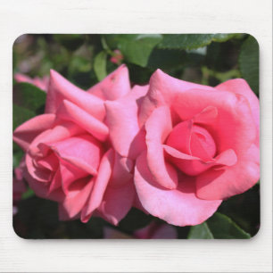 Alfombrilla De Ratón dos rosas perfectas de color rosa caliente. amor