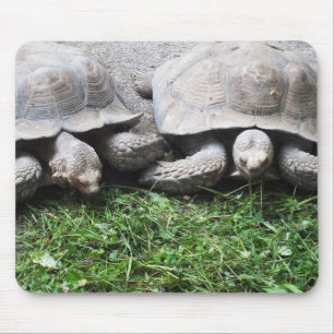 Alfombrilla De Ratón Dos tortugas gigantes