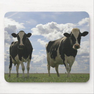 Alfombrilla De Ratón Dos vacas frisias