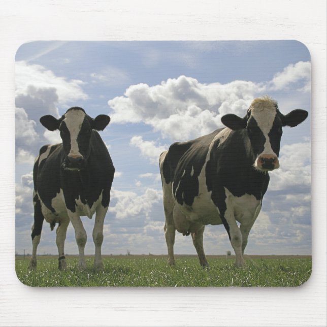 Alfombrilla De Ratón Dos vacas frisias (Frente)