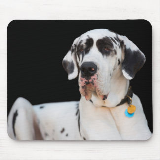 Alfombrilla De Ratón Dottie CrazyPants MousePad