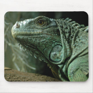Alfombrilla De Ratón Dragg-en Mousepad