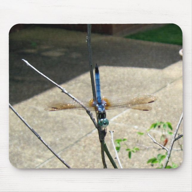 Alfombrilla De Ratón Dragón (Frente)