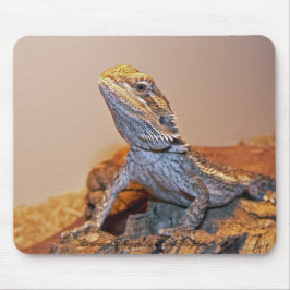 Alfombrilla De Ratón Dragón barbudo Mousepad