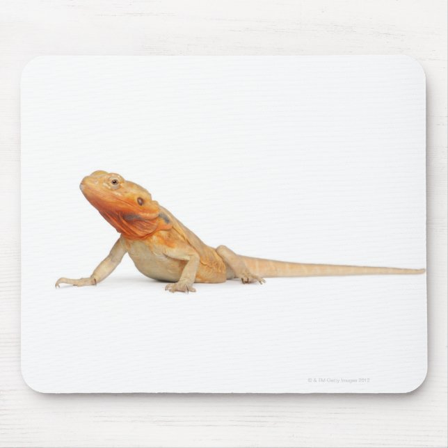 Alfombrilla De Ratón Dragón con barba sin escalas SilkBacks - Pogona (Frente)
