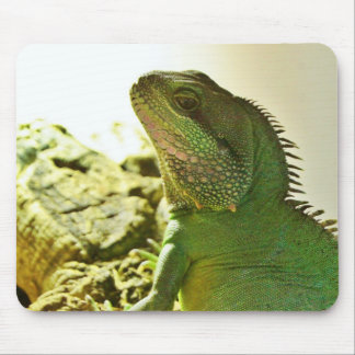 Alfombrilla De Ratón Dragón de agua chino