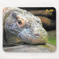 Dragón de Komodo
