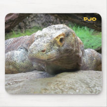 Dragón de Komodo grande