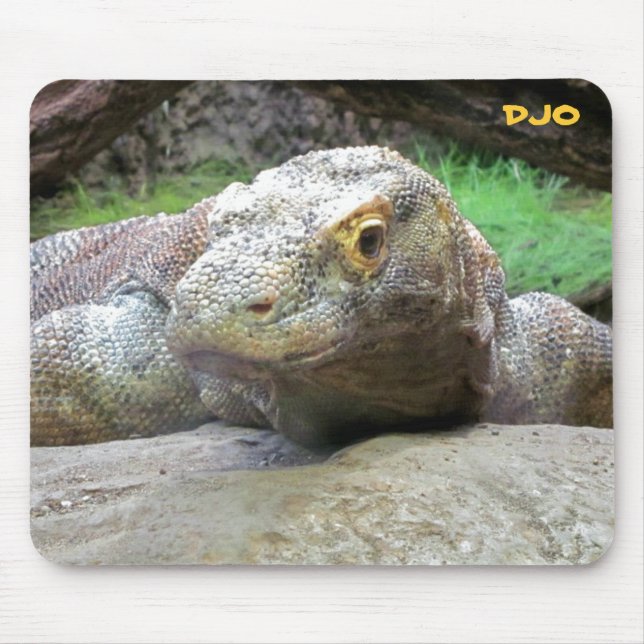 Alfombrilla De Ratón Dragón de Komodo grande (Frente)