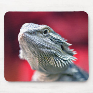 Alfombrilla De Ratón Dragón Mousepad principal