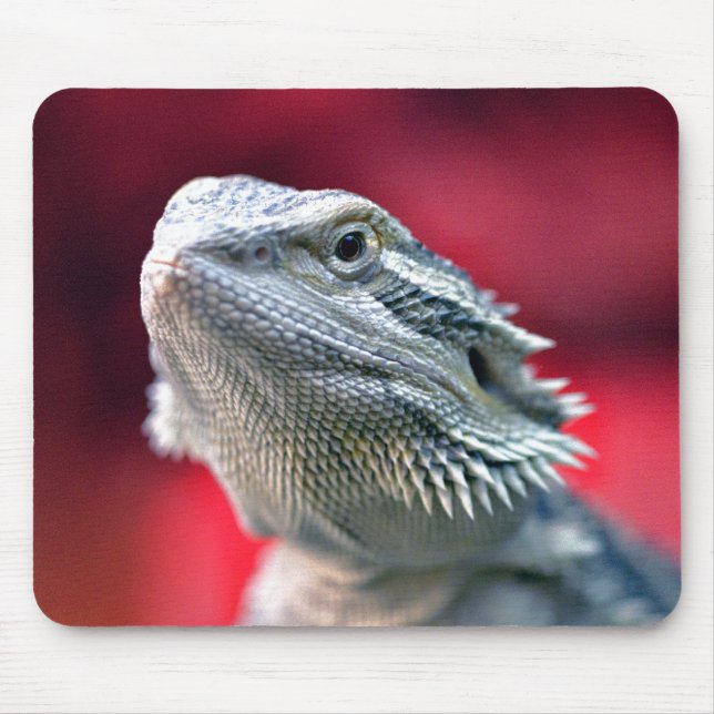 Alfombrilla De Ratón Dragón Mousepad principal (Frente)