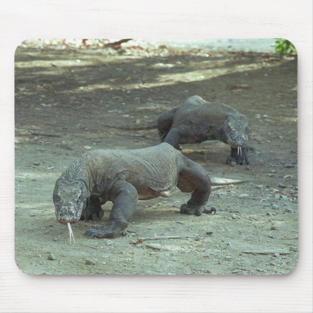 Alfombrilla De Ratón Dragones de Komodo (Frente)