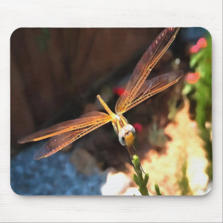 Alfombrilla De Ratón Dragonfly con las alas doradas de la luz del sol