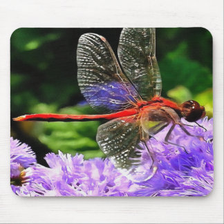 Alfombrilla De Ratón Dragonfly rojo sobre las flores violetas moradas