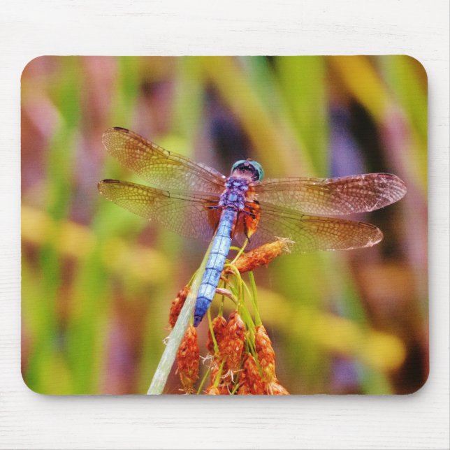 Alfombrilla De Ratón Dragonfly verde azulado (Frente)