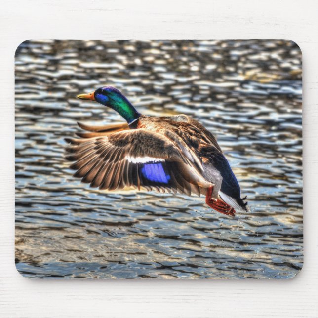 Alfombrilla De Ratón Drake de Mallard Volador en Sunset Wildlife Gift (Frente)