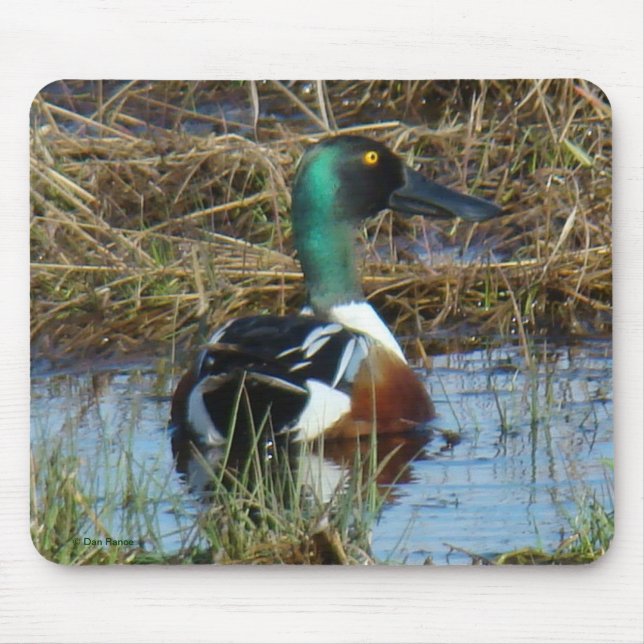Alfombrilla De Ratón Drake de palas del norte B26 (Frente)