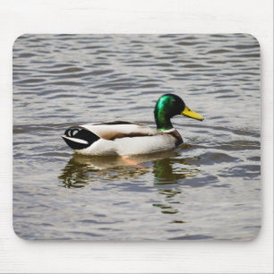 Alfombrilla De Ratón Drake mallard
