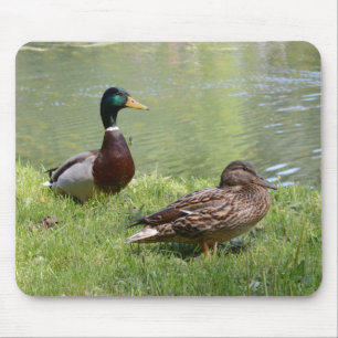 Alfombrilla De Ratón Drake y pato en el salvaje
