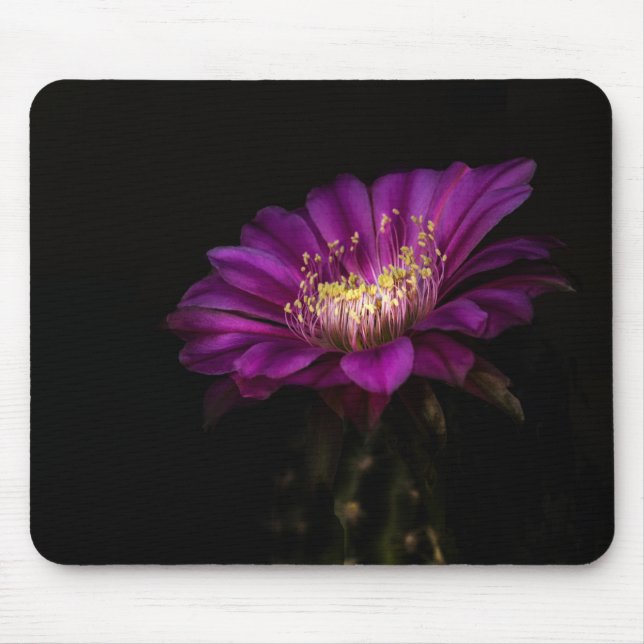 Alfombrilla De Ratón Dramática Flatty Cake Cactus flor (Frente)