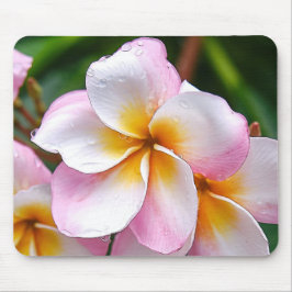 Alfombrilla De Ratón Dream Palette: Franjipani flower