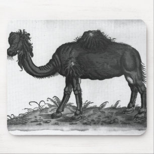Alfombrilla De Ratón Dromedario, de 'Historial Animalium