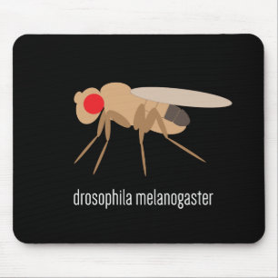 Alfombrilla De Ratón Drosophila Mousepad