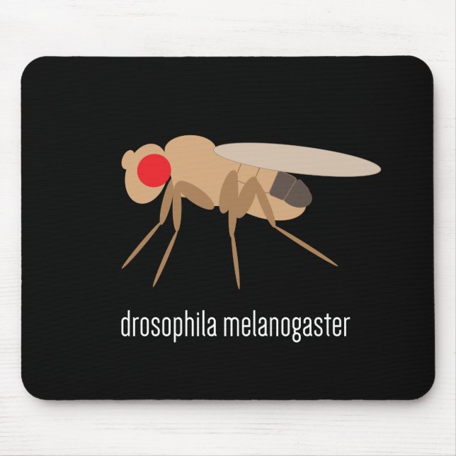 Alfombrilla De Ratón Drosophila Mousepad (Frente)