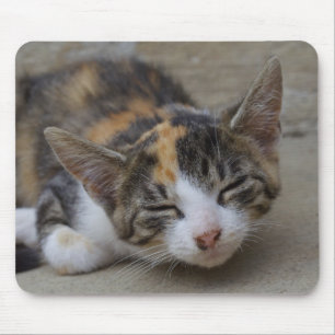 Alfombrilla De Ratón Drowsing Calico Kitten