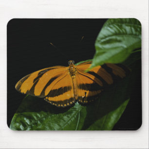 Alfombrilla De Ratón Dryad Mousepad