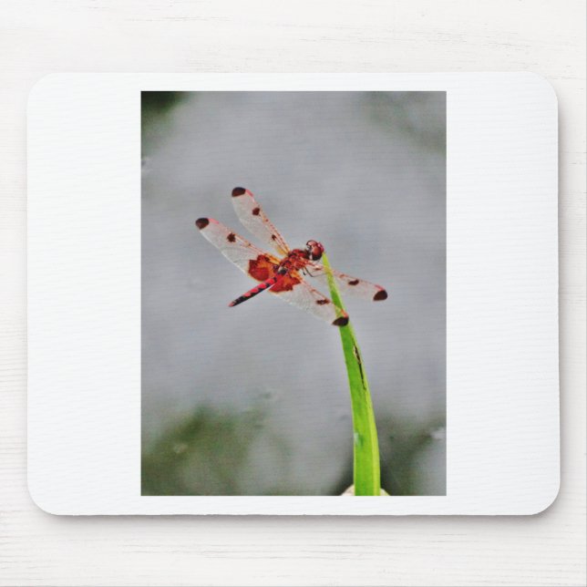 ALFOMBRILLA DE RATÓN DSC00029.JPG (Frente)