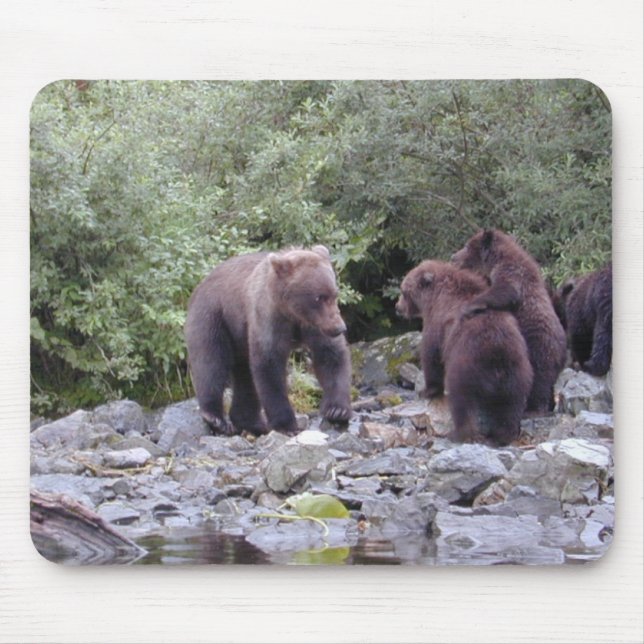 ALFOMBRILLA DE RATÓN DSCN0088 (Frente)