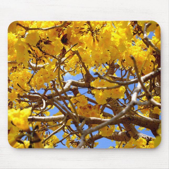 Alfombrilla De Ratón Ducha del oro (Frente)