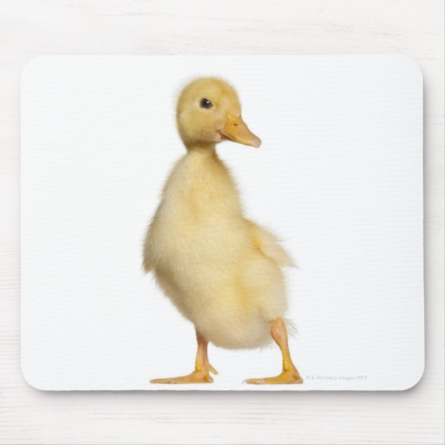 Alfombrilla De Ratón Duckling (1 semana de edad) (Frente)