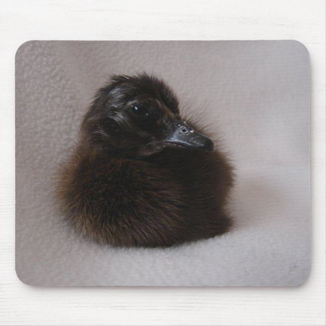 Alfombrilla De Ratón Duckling de un día (Frente)