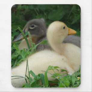Alfombrilla De Ratón Ducklings