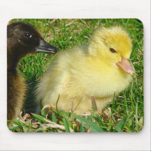 Alfombrilla De Ratón Ducklings