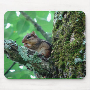 Alfombrilla De Ratón Dulce Chipmunk en ropa de árbol y regalos
