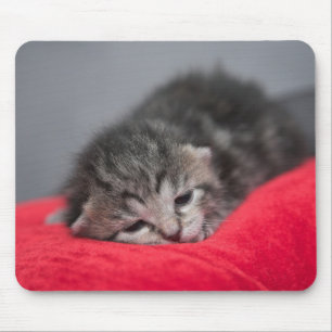 Alfombrilla De Ratón Dulce gatito