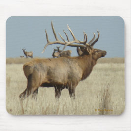 Alfombrilla De Ratón E4 Bull Elk Herd Master