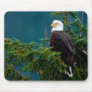 Alfombrilla De Ratón Eagle calvo