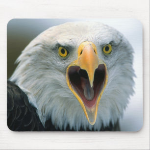 Alfombrilla De Ratón Eagle calvo #2-Mousepad