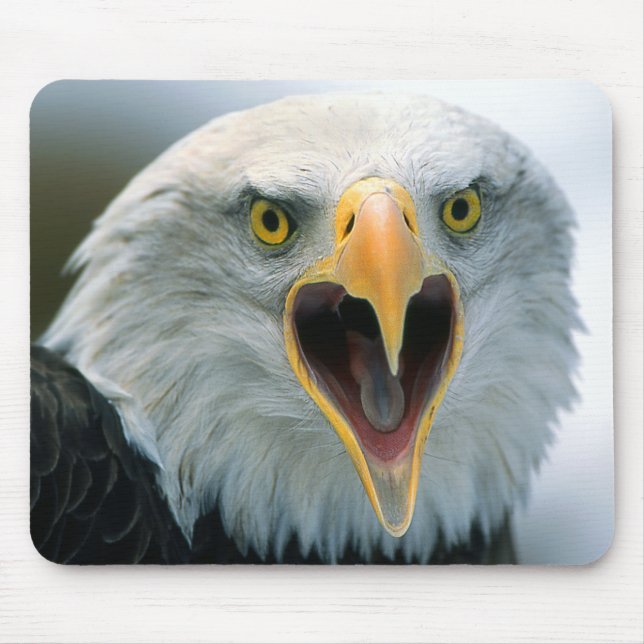 Alfombrilla De Ratón Eagle calvo #2-Mousepad (Frente)
