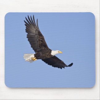 Alfombrilla De Ratón Eagle calvo americano