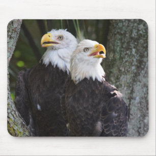 Alfombrilla De Ratón Eagle calvo americano Mousepad
