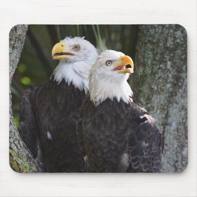 Alfombrilla De Ratón Eagle calvo americano Mousepad (Frente)