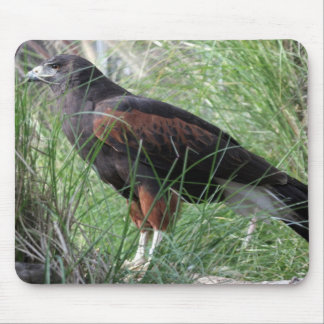 Alfombrilla De Ratón Eagle Mousepad