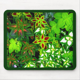 Alfombrilla De Ratón Earth Lover_